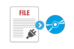 SPDE Disk Spooler Module