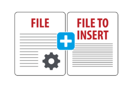 SPDE File Inserter Module