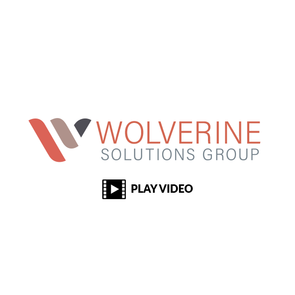 Wolverine Solutions Group - Play Video