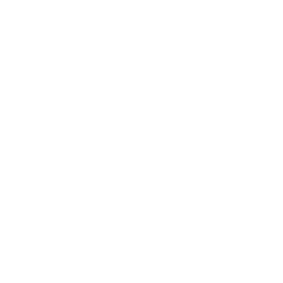 Customer Satisfaction Icon