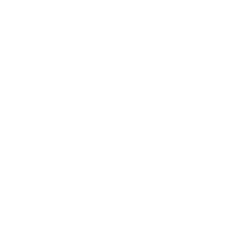 Monitor Coding Icon