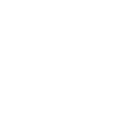 Piggy Bank Icon