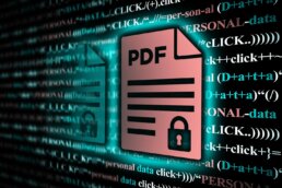 PDF Personal Data Security
