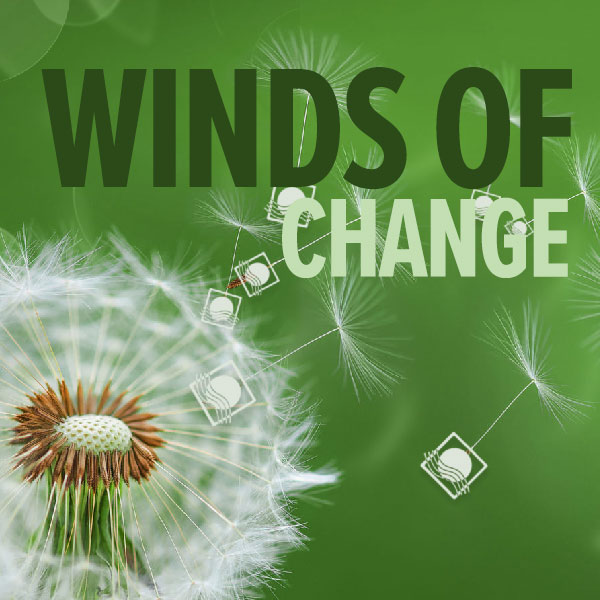 Feature Image, Solimar Systems Blog, Winds of Change