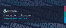 Unlocking the Power of Transpromo: Adding Value to Transactional Print