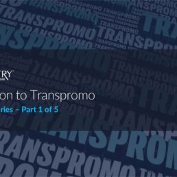 Unlocking the Power of Transpromo: Adding Value to Transactional Print