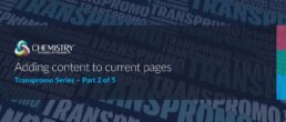 Unlocking the Power of Transpromo: Enhancing Your Print Output with Solimar's Rubika