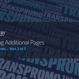 Unlocking the Power of Transpromo: Enhancing Your Output With Additional Pages