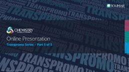 Unlocking the Power of Transpromo: Online Presentation