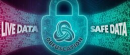 Featured Image for blog: Obfuscation Standards