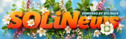 Header Image: SOLiNews - News & Success Stories from Solimar Systems